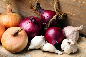 onion-and-garlic-varieties